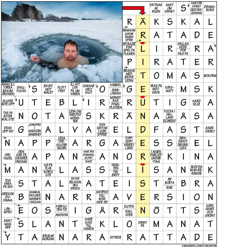 Grundläggande korsord för att stimulera din hjärna och öka ditt välbefinnande